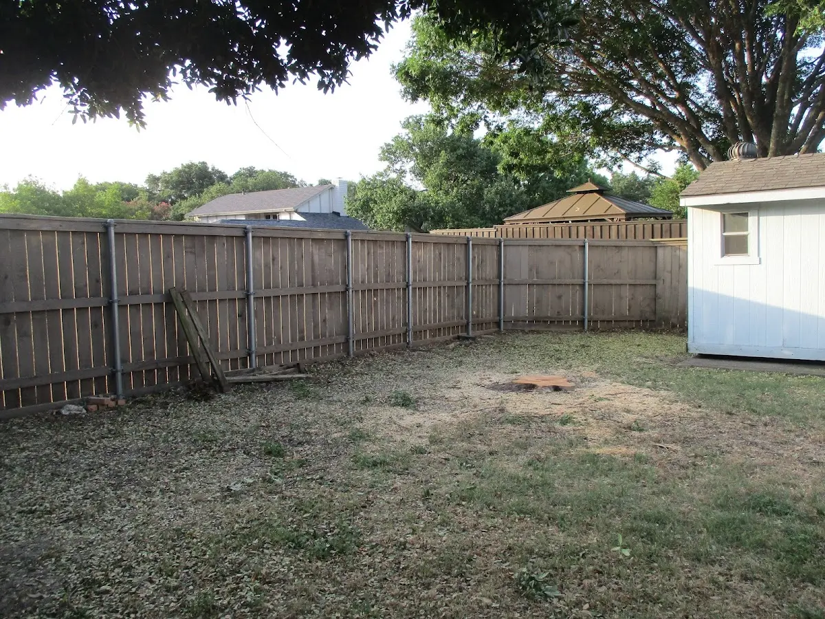 Cleared yard after professional tree removal in Grand Saline