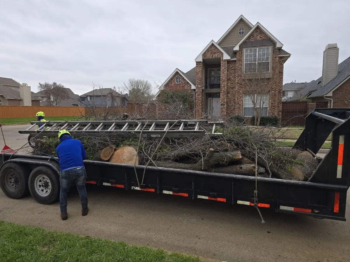 Expert Crown Reduction with proper safety equipment in Grand Saline
